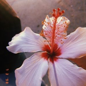 Meet your Posher, Elly